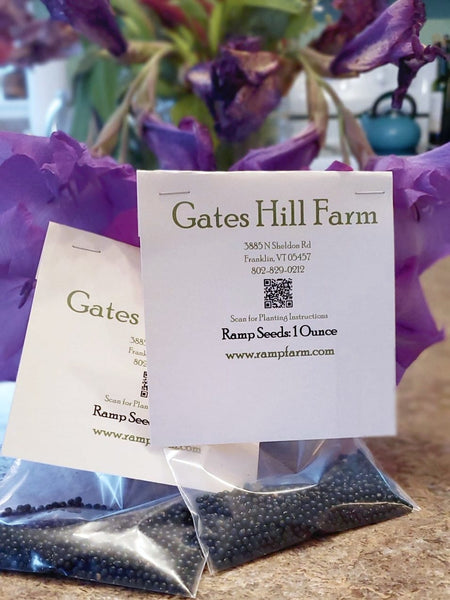 Ramp Seeds